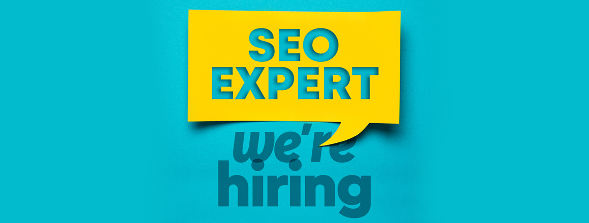 Net 22 Seo expert